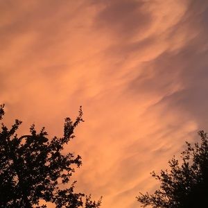 Meet your Posher, Nathaniel